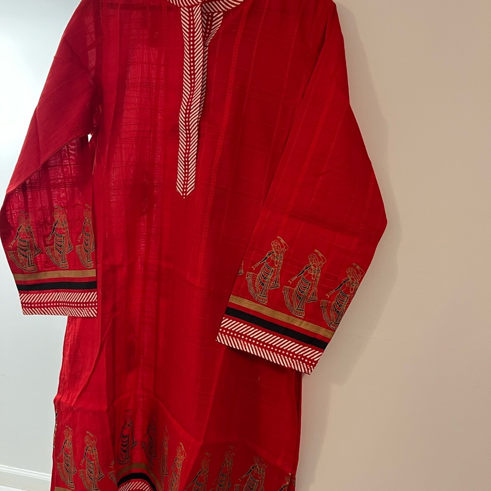 Pakistani long Shirt.Embroidery and paint work.Size Large